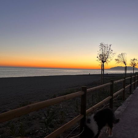 Casa Las Toro Playa 칠체스 외부 사진